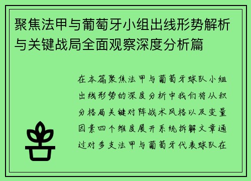 聚焦法甲与葡萄牙小组出线形势解析与关键战局全面观察深度分析篇